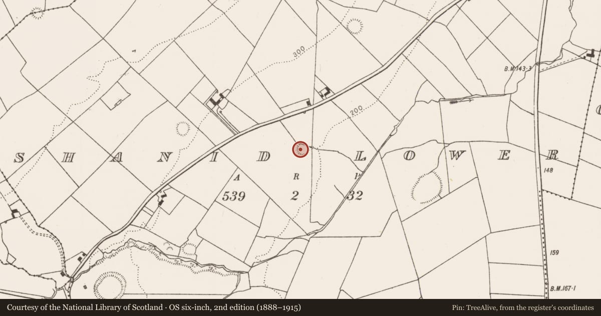 Ordnance Survey six-inch map, 2nd edition (1888–1915) covering the location of Ringfort - rath, Shanid Lower, County Limerick, with a pin at the register's coordinates