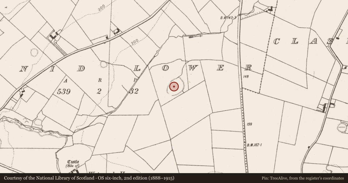 Ordnance Survey six-inch map, 2nd edition (1888–1915) covering the location of Enclosure, Shanid Lower, County Limerick, with a pin at the register's coordinates