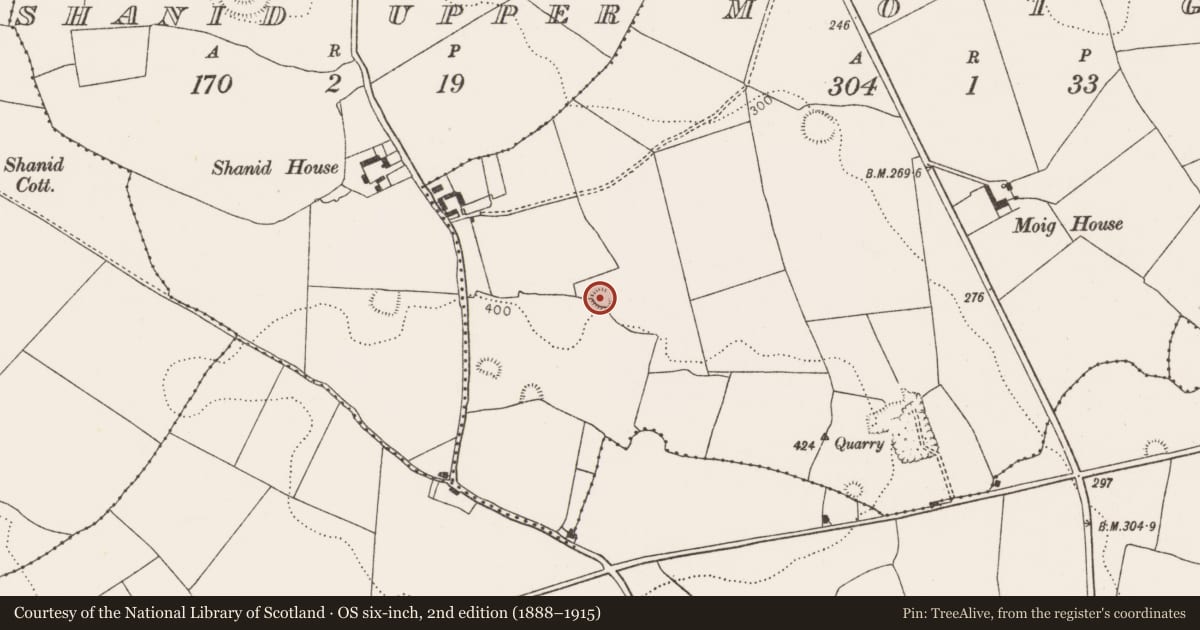 Ordnance Survey six-inch map, 2nd edition (1888–1915) covering the location of Ringfort - rath, Moig, County Limerick, with a pin at the register's coordinates