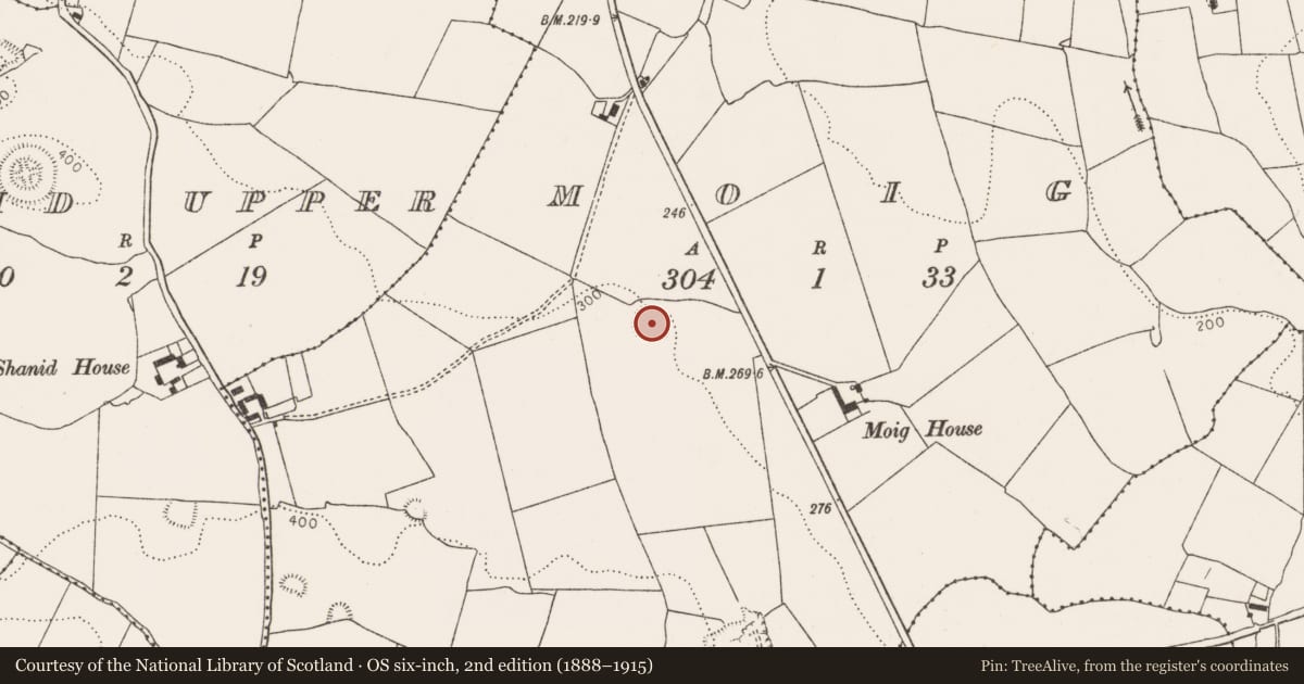 Ordnance Survey six-inch map, 2nd edition (1888–1915) covering the location of Ringfort - rath, Moig, County Limerick, with a pin at the register's coordinates