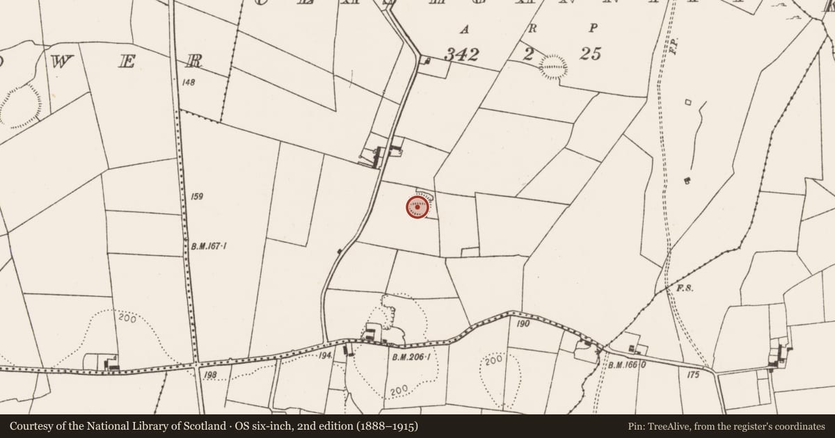 Ordnance Survey six-inch map, 2nd edition (1888–1915) covering the location of Ringfort - rath, Clashganniff, County Limerick, with a pin at the register's coordinates
