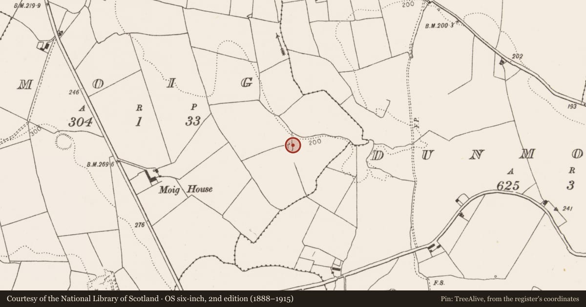 Ordnance Survey six-inch map, 2nd edition (1888–1915) covering the location of Slab-lined burial, Moig, County Limerick, with a pin at the register's coordinates