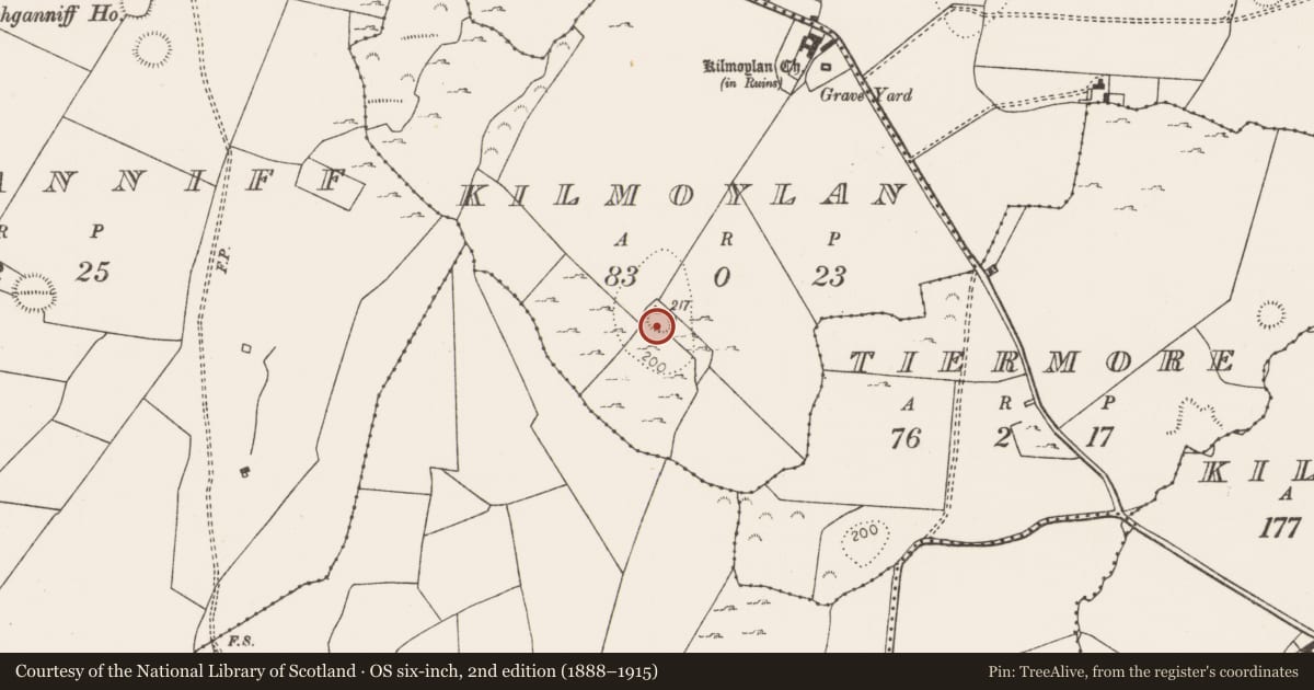 Ordnance Survey six-inch map, 2nd edition (1888–1915) covering the location of Ringfort - rath, Kilmoylan, County Limerick, with a pin at the register's coordinates
