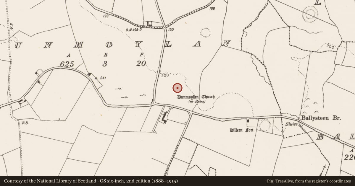 Ordnance Survey six-inch map, 2nd edition (1888–1915) covering the location of Moated site, Dunmoylan, County Limerick, with a pin at the register's coordinates