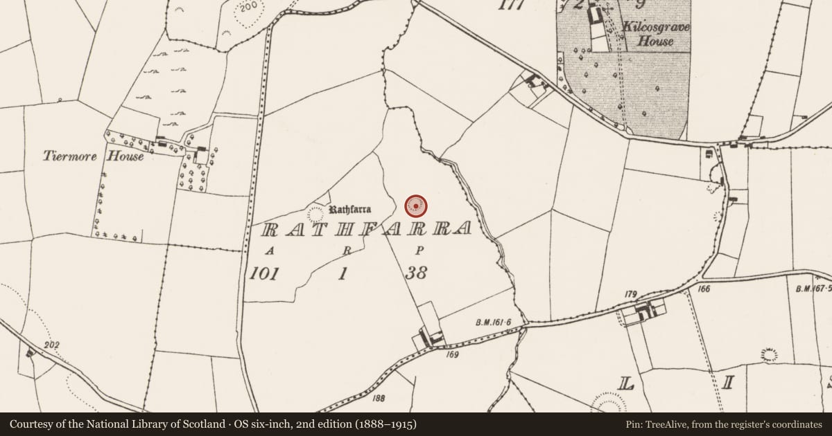 Ordnance Survey six-inch map, 2nd edition (1888–1915) covering the location of Ringfort - rath, Rathfarra, County Limerick, with a pin at the register's coordinates