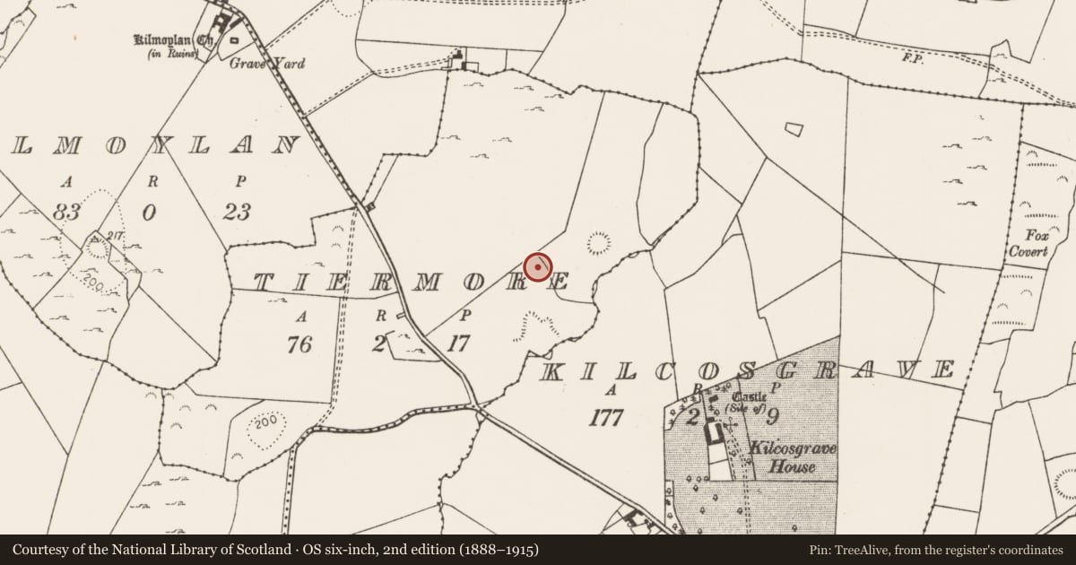 Ordnance Survey six-inch map, 2nd edition (1888–1915) covering the location of Ringfort - rath, Tiermore, County Limerick, with a pin at the register's coordinates