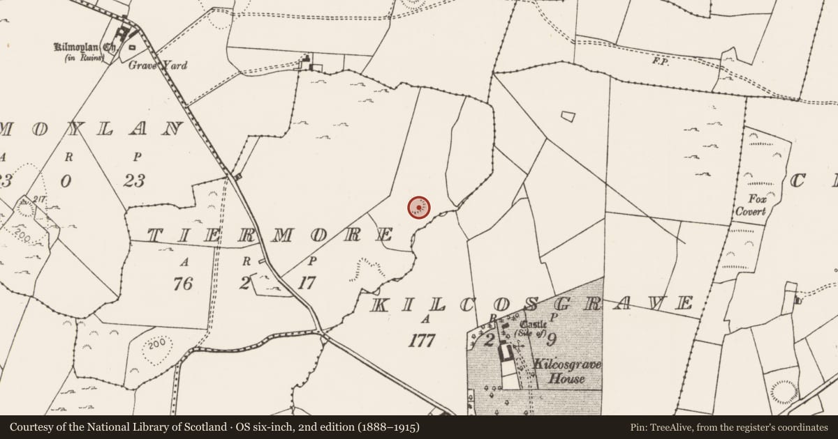 Ordnance Survey six-inch map, 2nd edition (1888–1915) covering the location of Ringfort - rath, Tiermore, County Limerick, with a pin at the register's coordinates