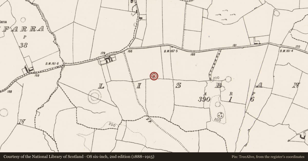 Ordnance Survey six-inch map, 2nd edition (1888–1915) covering the location of Ringfort - rath, Lisbane, County Limerick, with a pin at the register's coordinates