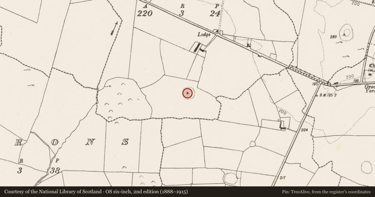 Ordnance Survey six-inch map, 2nd edition (1888–1915) covering the location of Ringfort - rath, Ballysteen, County Limerick, with a pin at the register's coordinates