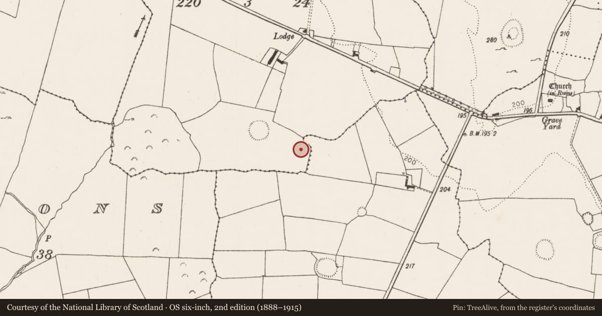 Ordnance Survey six-inch map, 2nd edition (1888–1915) covering the location of Ringfort - rath, Ballysteen, County Limerick, with a pin at the register's coordinates