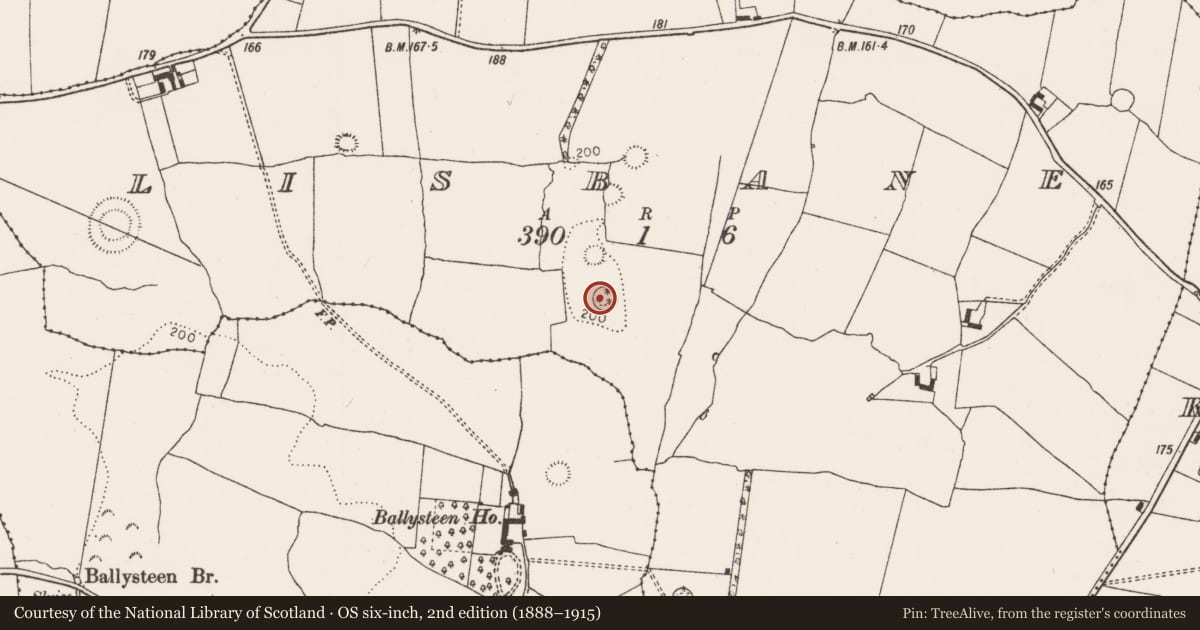 Ordnance Survey six-inch map, 2nd edition (1888–1915) covering the location of Ringfort - rath, Lisbane, County Limerick, with a pin at the register's coordinates