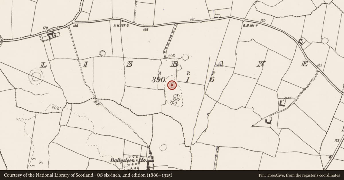 Ordnance Survey six-inch map, 2nd edition (1888–1915) covering the location of Ringfort - rath, Lisbane, County Limerick, with a pin at the register's coordinates