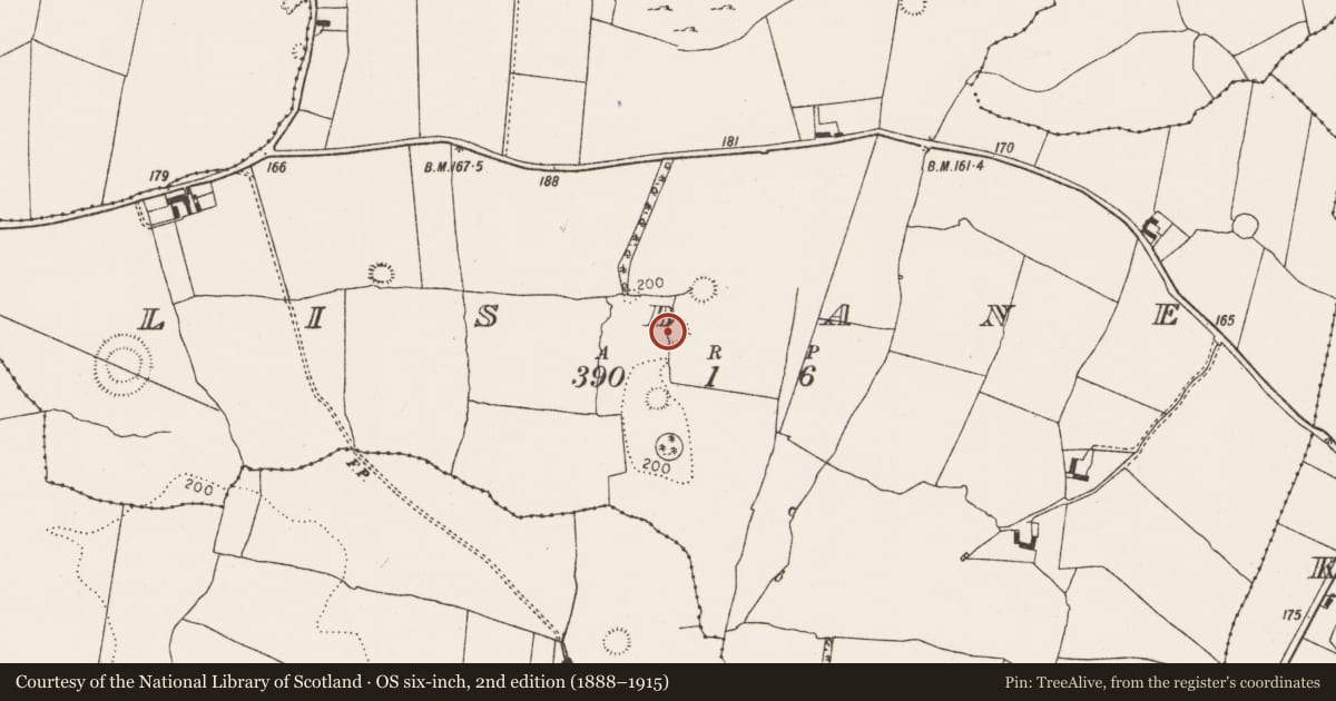 Ordnance Survey six-inch map, 2nd edition (1888–1915) covering the location of Ringfort - rath, Lisbane, County Limerick, with a pin at the register's coordinates