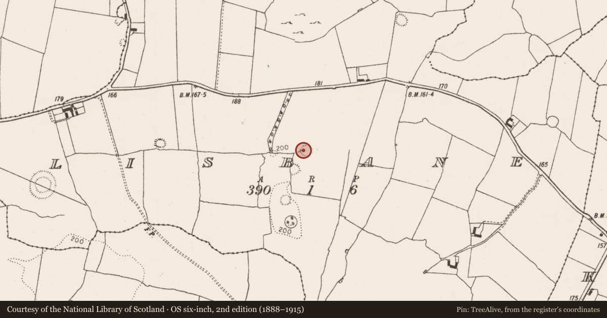 Ordnance Survey six-inch map, 2nd edition (1888–1915) covering the location of Ringfort - rath, Lisbane, County Limerick, with a pin at the register's coordinates