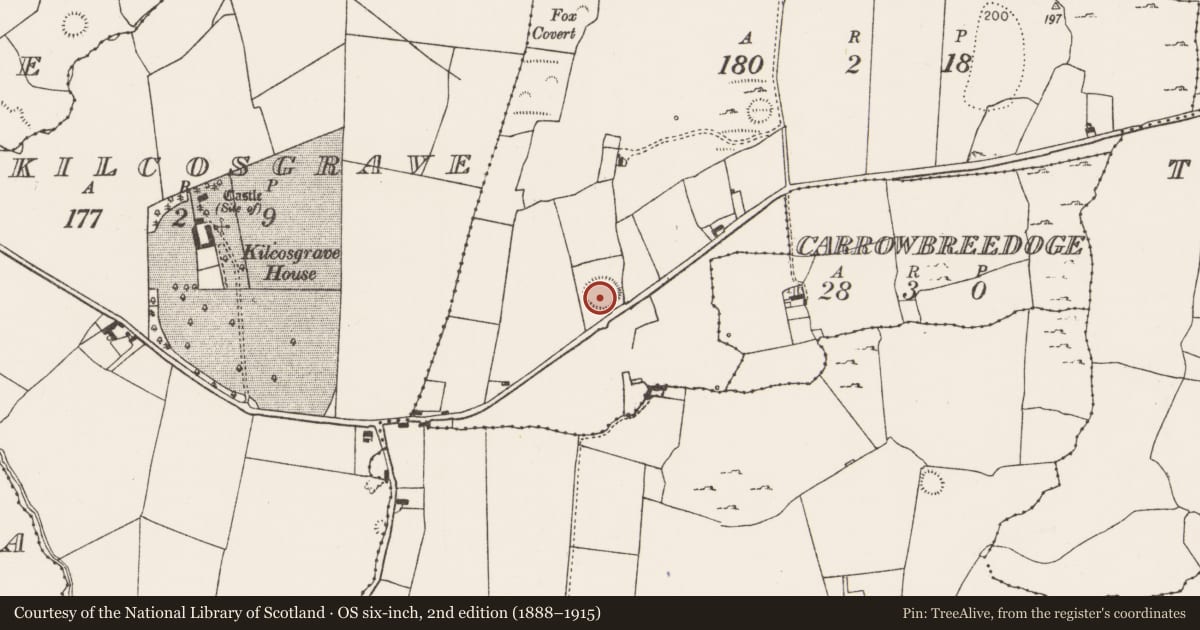 Ordnance Survey six-inch map, 2nd edition (1888–1915) covering the location of Ringfort - rath, Craggard, County Limerick, with a pin at the register's coordinates