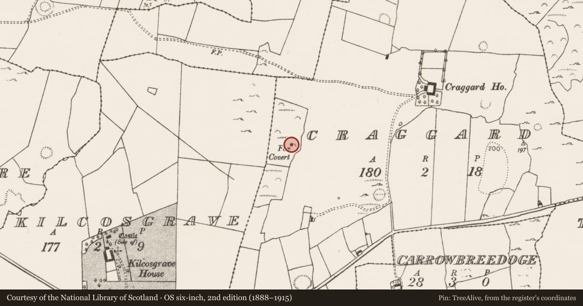 Ordnance Survey six-inch map, 2nd edition (1888–1915) covering the location of Castle - unclassified, Craggard, County Limerick, with a pin at the register's coordinates