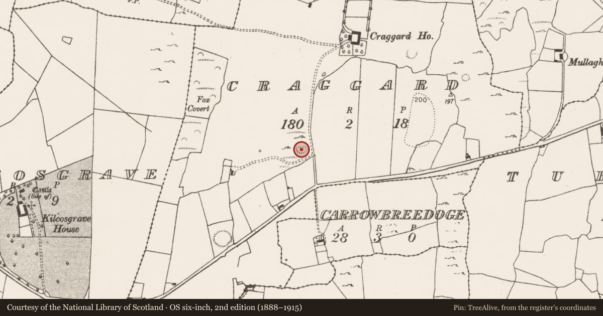 Ordnance Survey six-inch map, 2nd edition (1888–1915) covering the location of Ringfort - rath, Craggard, County Limerick, with a pin at the register's coordinates