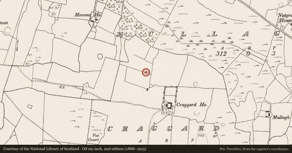 Ordnance Survey six-inch map, 2nd edition (1888–1915) covering the location of Ringfort - rath, Craggard, County Limerick, with a pin at the register's coordinates