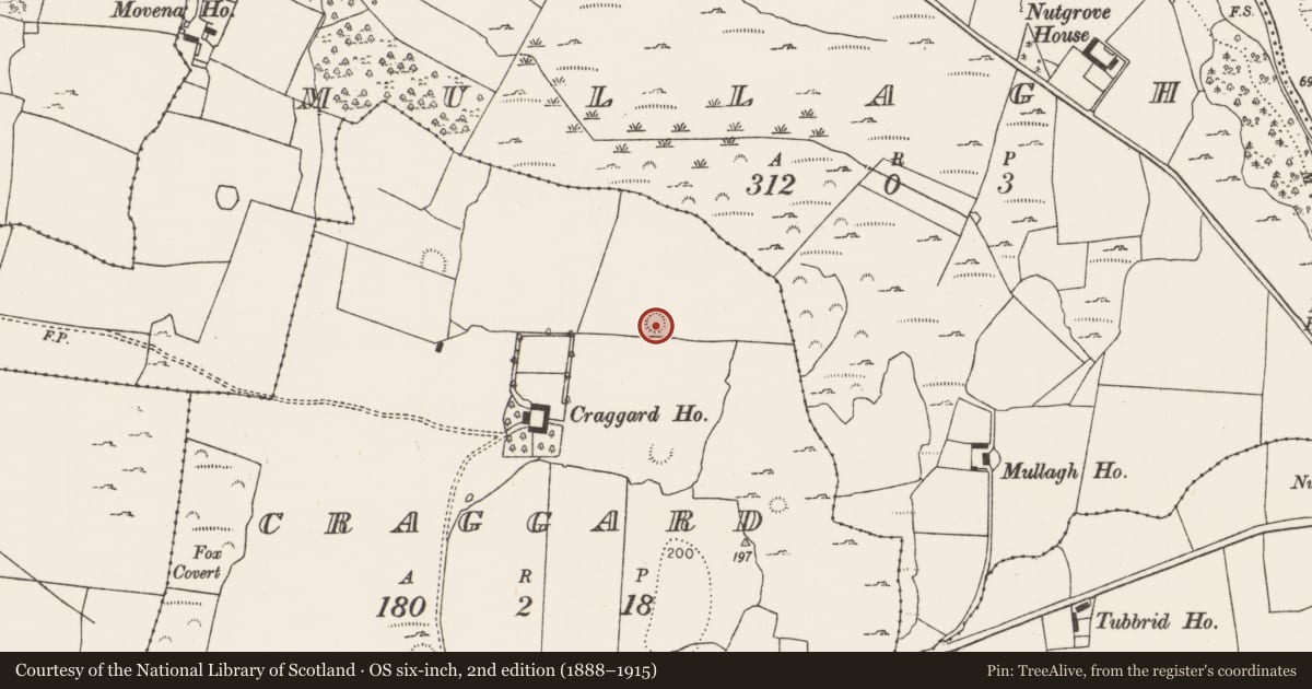 Ordnance Survey six-inch map, 2nd edition (1888–1915) covering the location of Ringfort - rath, Craggard, County Limerick, with a pin at the register's coordinates