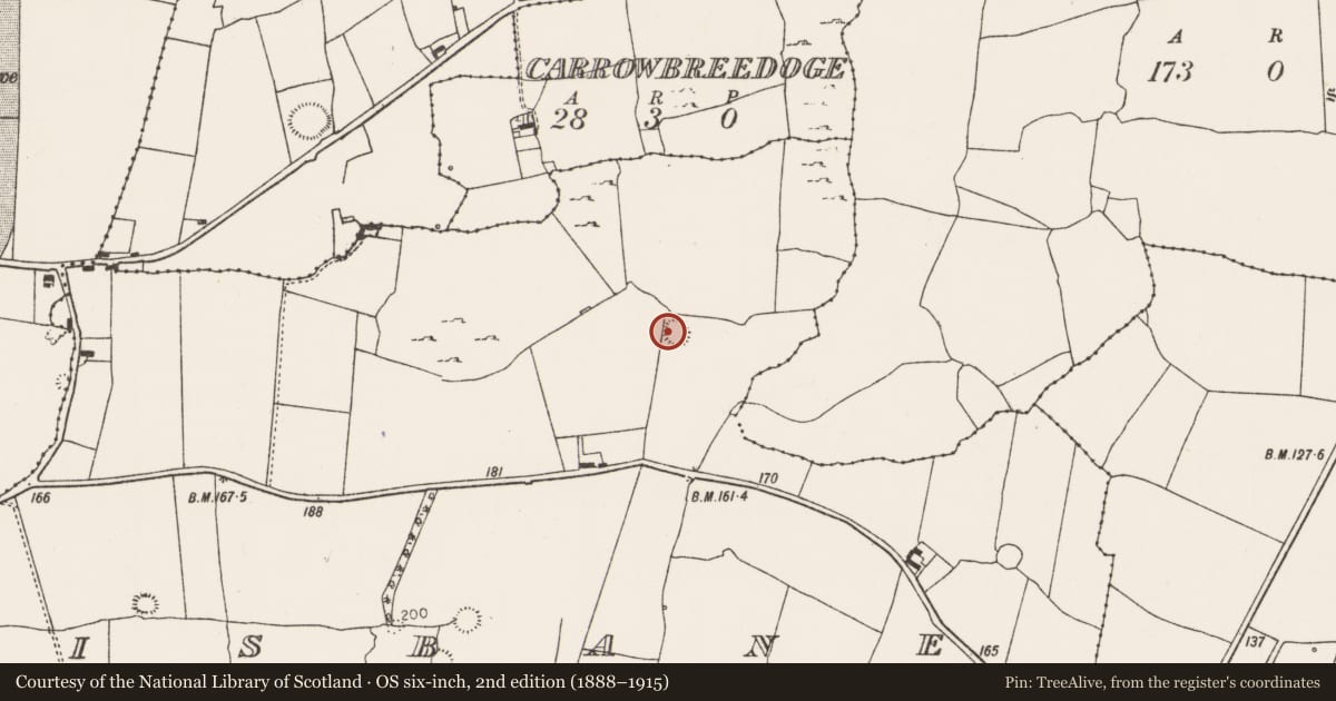 Ordnance Survey six-inch map, 2nd edition (1888–1915) covering the location of Ringfort - rath, Lisbane, County Limerick, with a pin at the register's coordinates