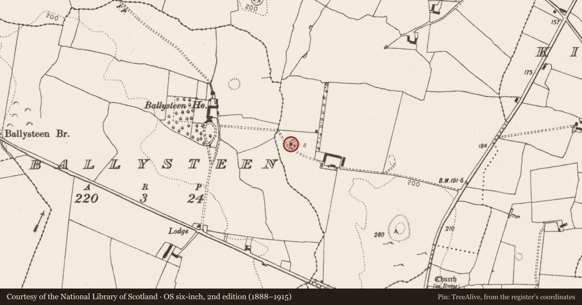Ordnance Survey six-inch map, 2nd edition (1888–1915) covering the location of Ringfort - rath, Lisbane, County Limerick, with a pin at the register's coordinates