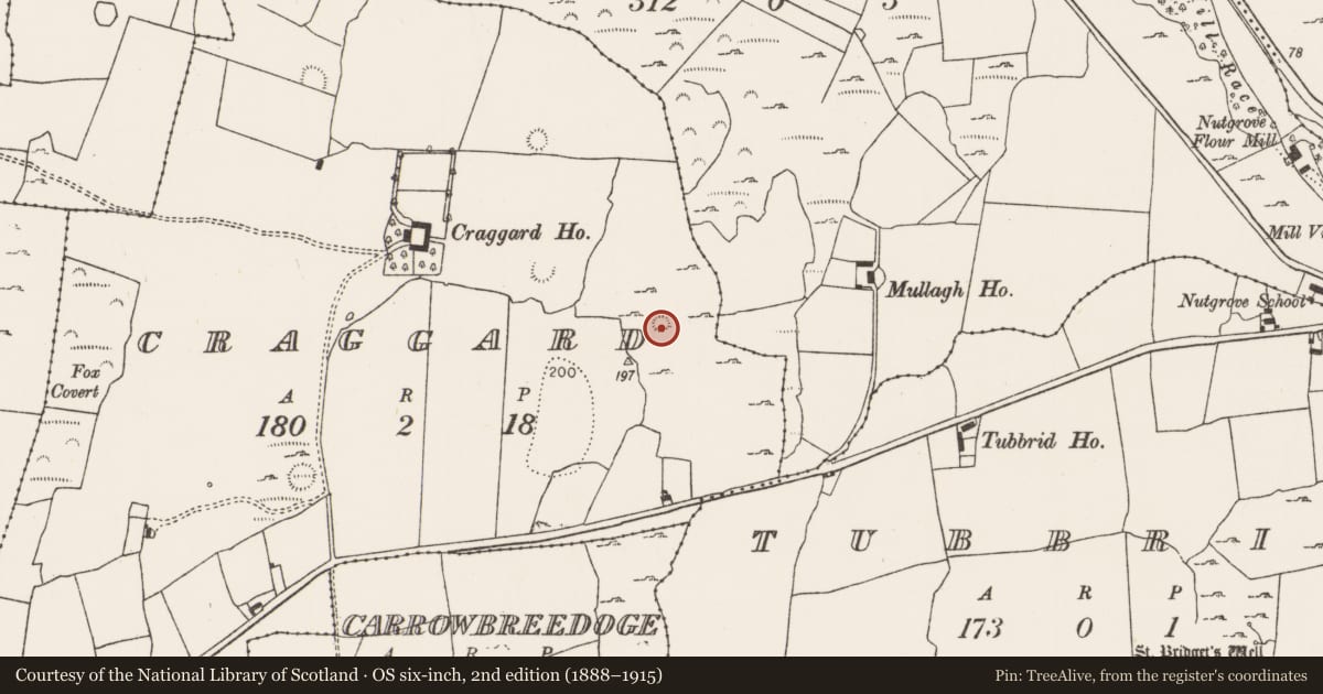 Ordnance Survey six-inch map, 2nd edition (1888–1915) covering the location of Ringfort - rath, Craggard, County Limerick, with a pin at the register's coordinates