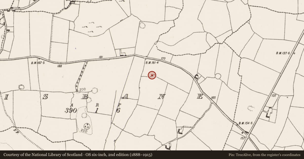 Ordnance Survey six-inch map, 2nd edition (1888–1915) covering the location of Enclosure, Lisbane, County Limerick, with a pin at the register's coordinates