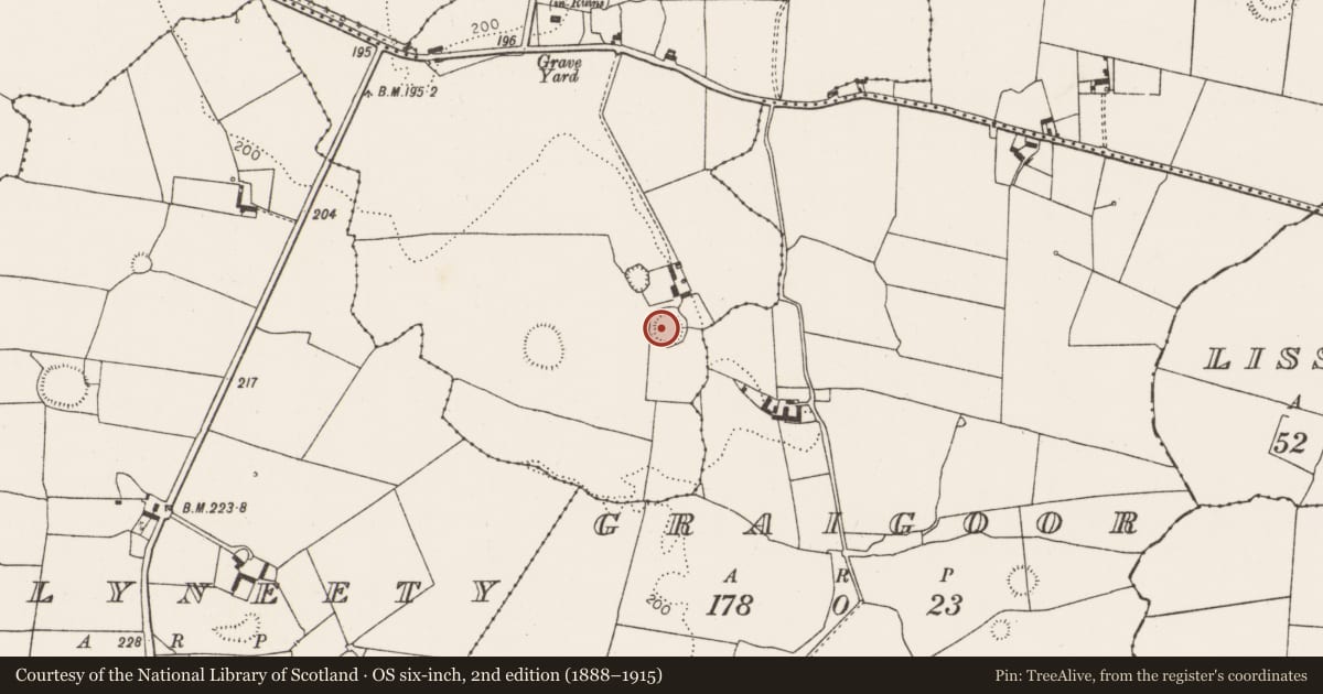 Ordnance Survey six-inch map, 2nd edition (1888–1915) covering the location of Ringfort - rath, Kilbradran, County Limerick, with a pin at the register's coordinates
