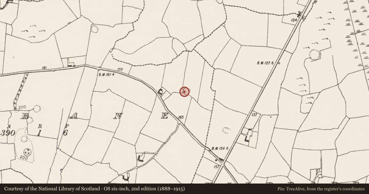 Ordnance Survey six-inch map, 2nd edition (1888–1915) covering the location of Ringfort - rath, Lisbane, County Limerick, with a pin at the register's coordinates
