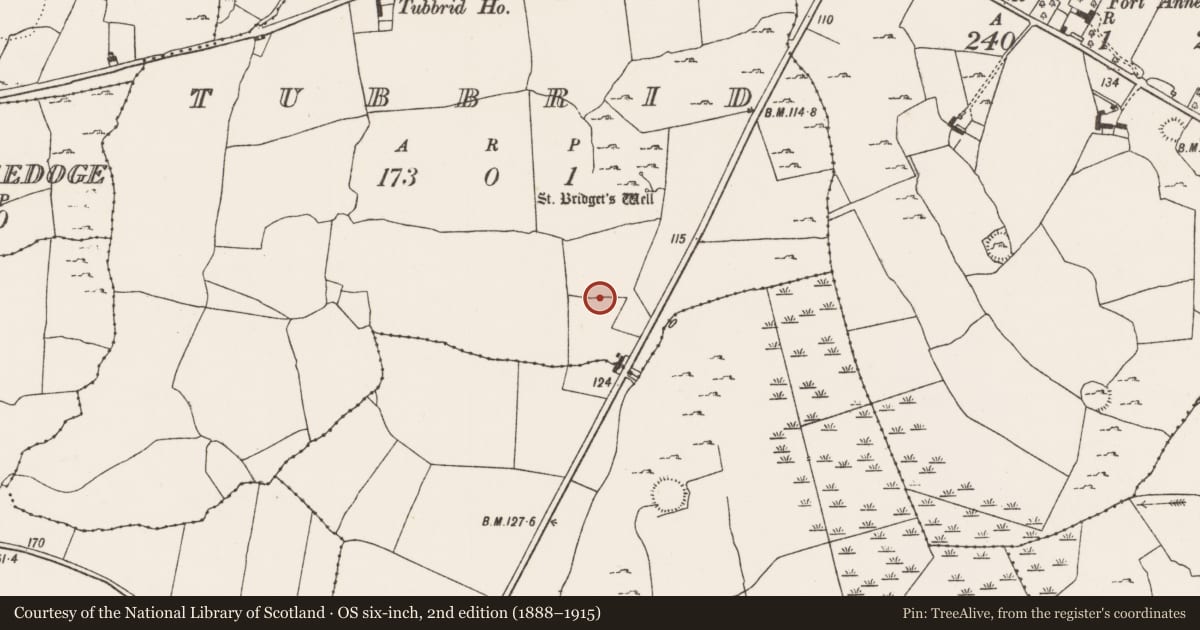 Ordnance Survey six-inch map, 2nd edition (1888–1915) covering the location of Ringfort - rath, Tubbrid, County Limerick, with a pin at the register's coordinates
