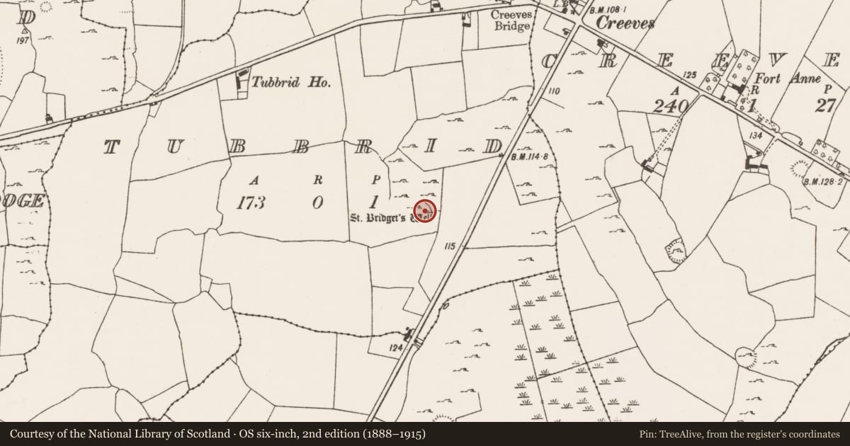 Ordnance Survey six-inch map, 2nd edition (1888–1915) covering the location of Ritual site - holy well, Tubbrid, County Limerick, with a pin at the register's coordinates