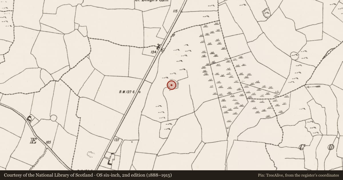 Ordnance Survey six-inch map, 2nd edition (1888–1915) covering the location of Ringfort - rath, Kilbradran, County Limerick, with a pin at the register's coordinates