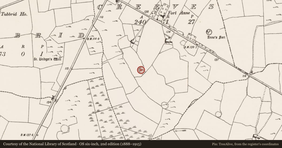 Ordnance Survey six-inch map, 2nd edition (1888–1915) covering the location of Ringfort - rath, Creeves, County Limerick, with a pin at the register's coordinates