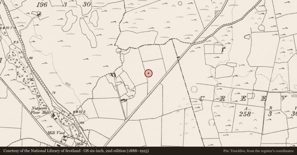 Ordnance Survey six-inch map, 2nd edition (1888–1915) covering the location of Ringfort - rath, Creeves, County Limerick, with a pin at the register's coordinates