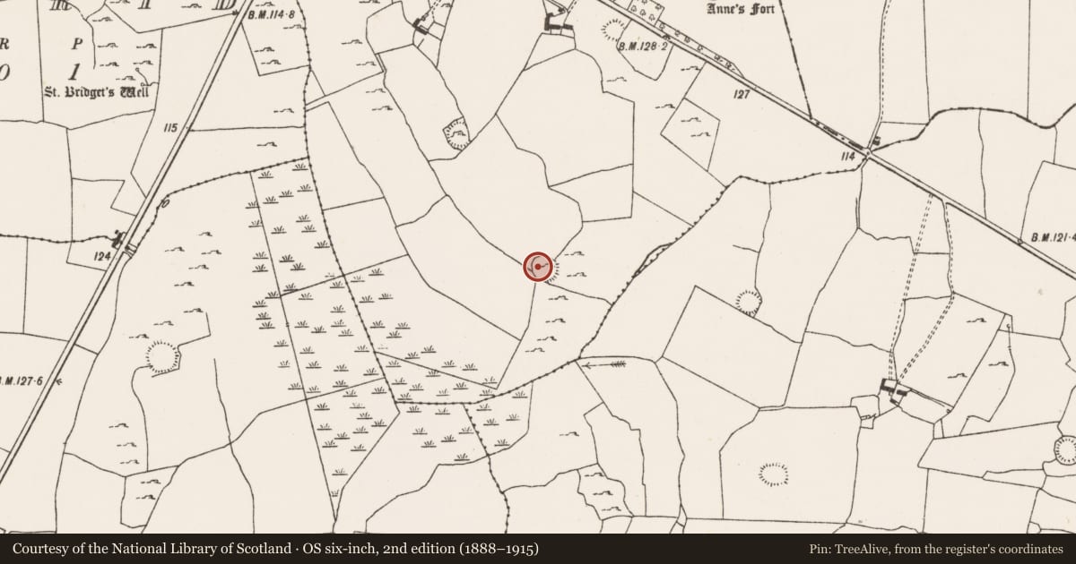 Ordnance Survey six-inch map, 2nd edition (1888–1915) covering the location of Ringfort - cashel, Creeves, County Limerick, with a pin at the register's coordinates