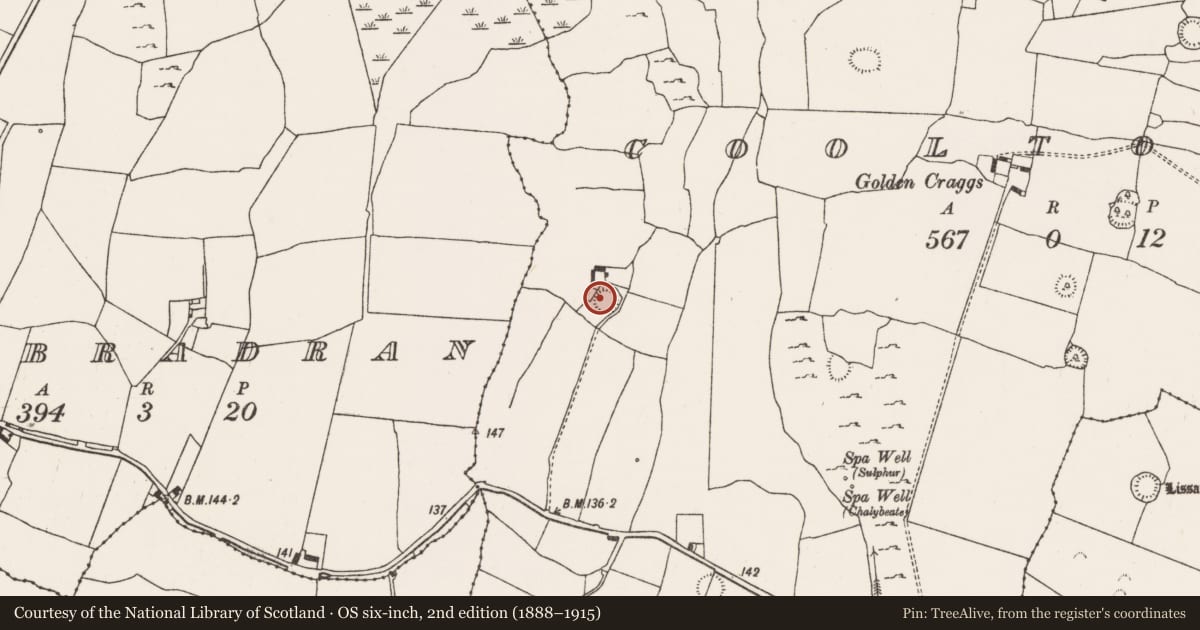 Ordnance Survey six-inch map, 2nd edition (1888–1915) covering the location of Ringfort - rath, Cooltomin, County Limerick, with a pin at the register's coordinates