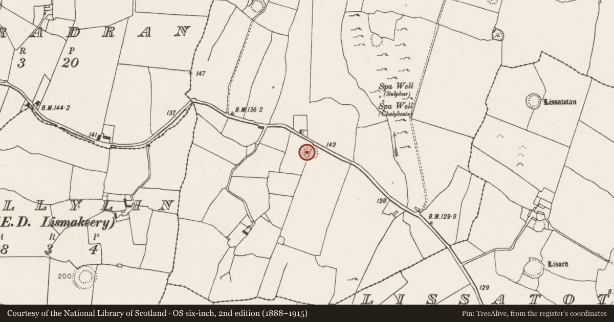 Ordnance Survey six-inch map, 2nd edition (1888–1915) covering the location of Ringfort - rath, Cooltomin, County Limerick, with a pin at the register's coordinates