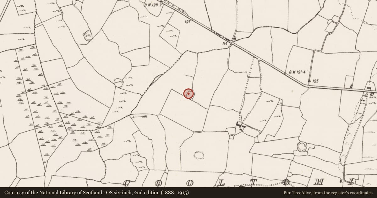 Ordnance Survey six-inch map, 2nd edition (1888–1915) covering the location of Ringfort - rath, Cooltomin, County Limerick, with a pin at the register's coordinates