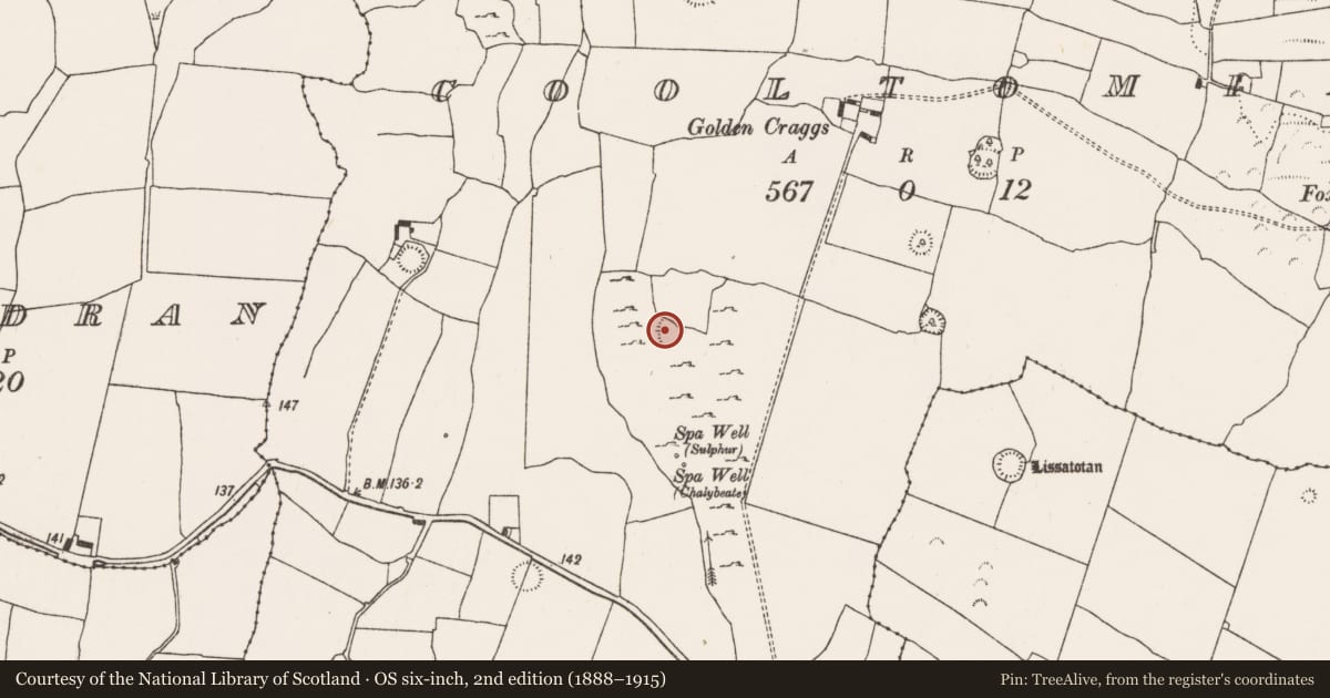 Ordnance Survey six-inch map, 2nd edition (1888–1915) covering the location of Ringfort - rath, Cooltomin, County Limerick, with a pin at the register's coordinates