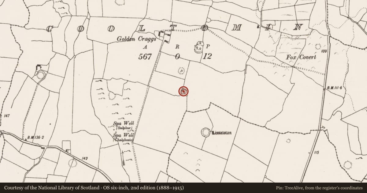 Ordnance Survey six-inch map, 2nd edition (1888–1915) covering the location of Ringfort - rath, Cooltomin, County Limerick, with a pin at the register's coordinates