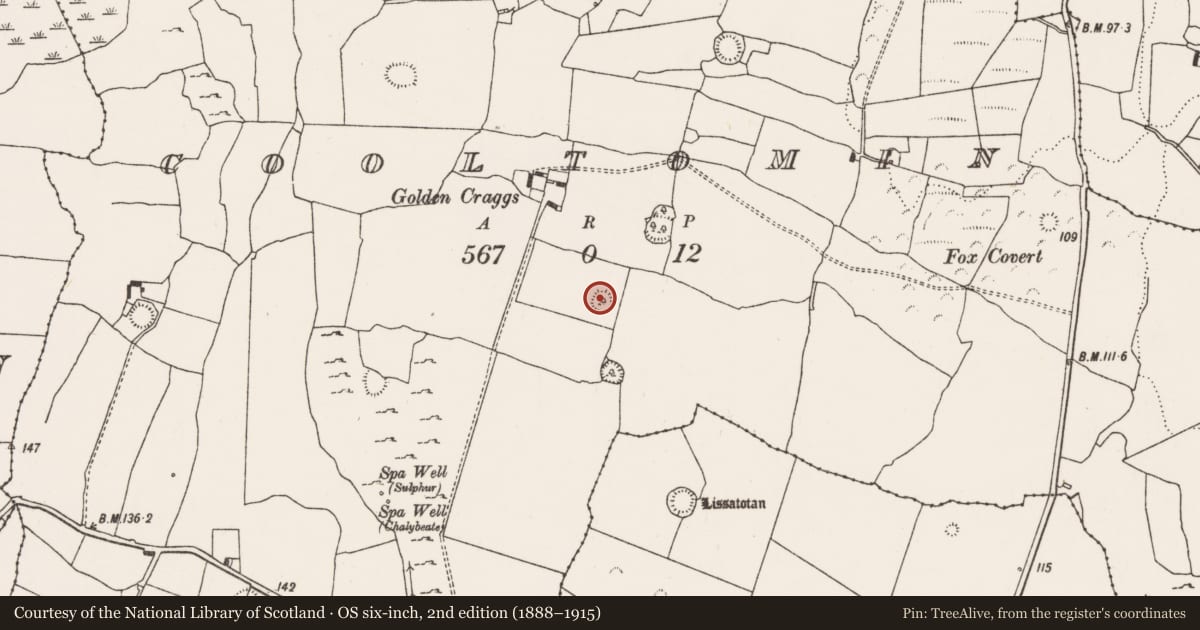 Ordnance Survey six-inch map, 2nd edition (1888–1915) covering the location of Ringfort - rath, Cooltomin, County Limerick, with a pin at the register's coordinates