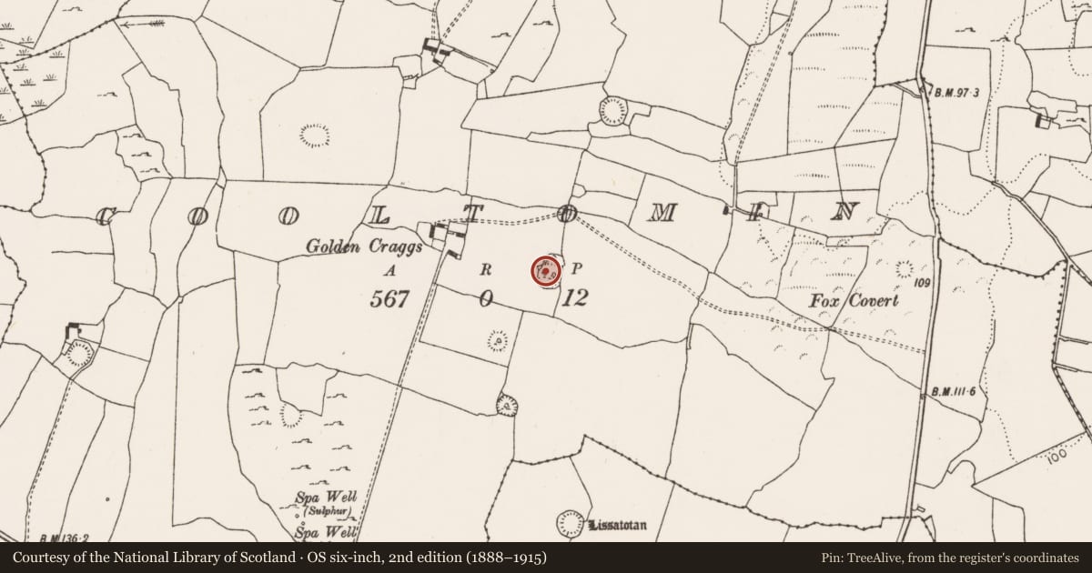 Ordnance Survey six-inch map, 2nd edition (1888–1915) covering the location of Ringfort - rath, Cooltomin, County Limerick, with a pin at the register's coordinates