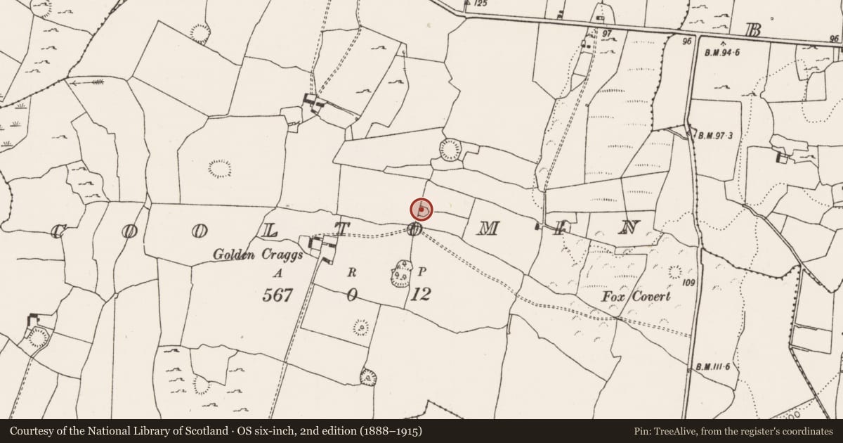 Ordnance Survey six-inch map, 2nd edition (1888–1915) covering the location of Enclosure, Cooltomin, County Limerick, with a pin at the register's coordinates