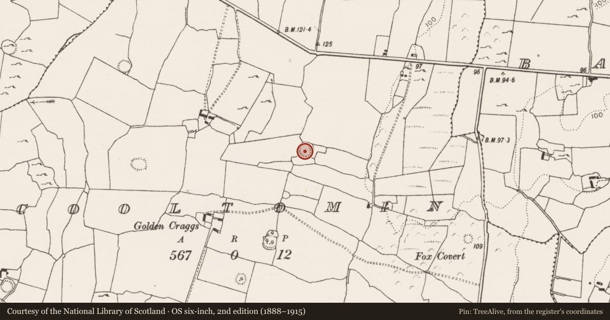 Ordnance Survey six-inch map, 2nd edition (1888–1915) covering the location of Ringfort - rath, Cooltomin, County Limerick, with a pin at the register's coordinates