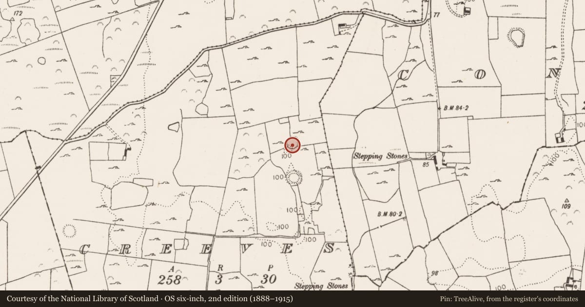 Ordnance Survey six-inch map, 2nd edition (1888–1915) covering the location of Ringfort - rath, Creeves, County Limerick, with a pin at the register's coordinates
