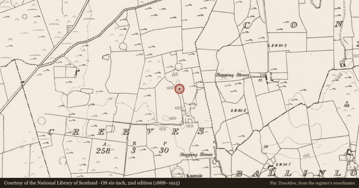 Ordnance Survey six-inch map, 2nd edition (1888–1915) covering the location of Ringfort - rath, Creeves, County Limerick, with a pin at the register's coordinates
