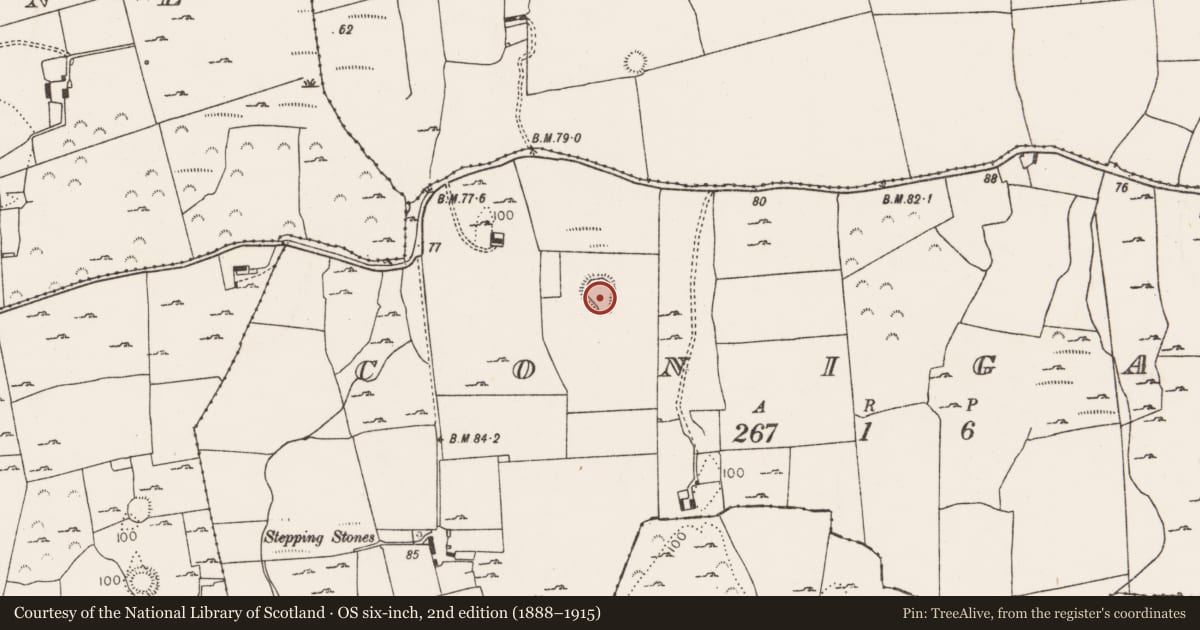 Ordnance Survey six-inch map, 2nd edition (1888–1915) covering the location of Ringfort - rath, Conigar, County Limerick, with a pin at the register's coordinates