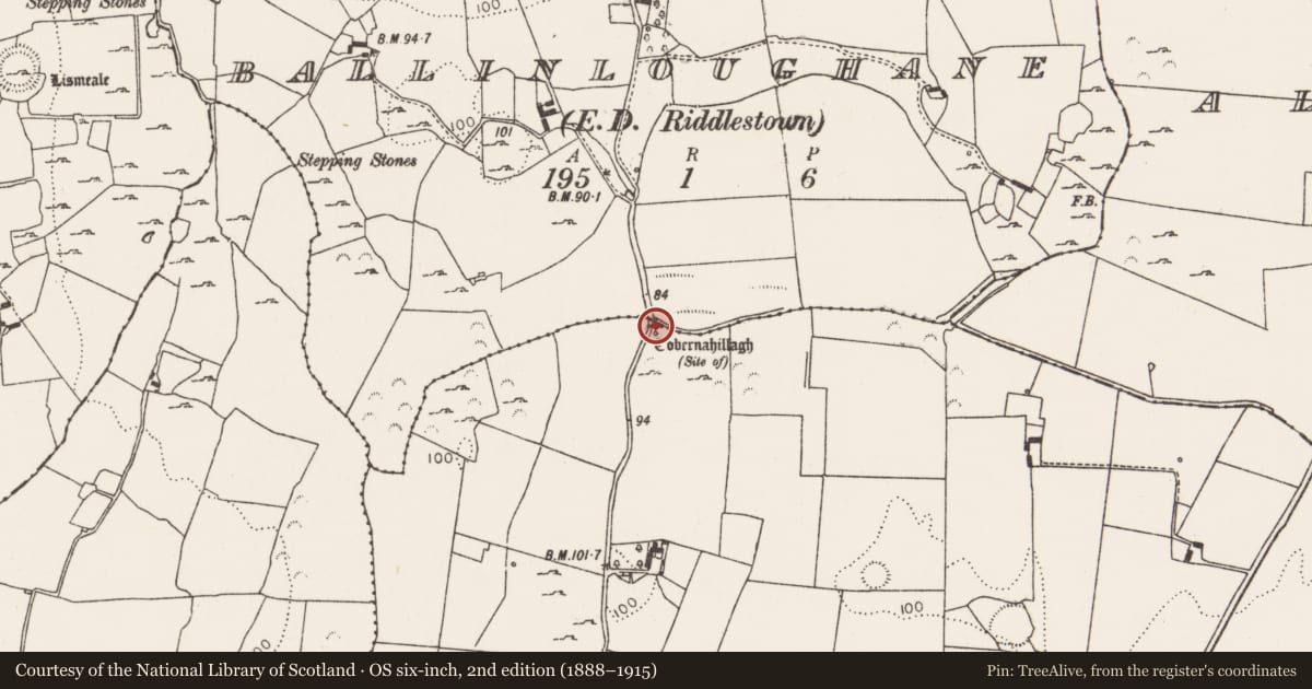 Ordnance Survey six-inch map, 2nd edition (1888–1915) covering the location of Ritual site - holy well, Ballinloughane, County Limerick, with a pin at the register's coordinates