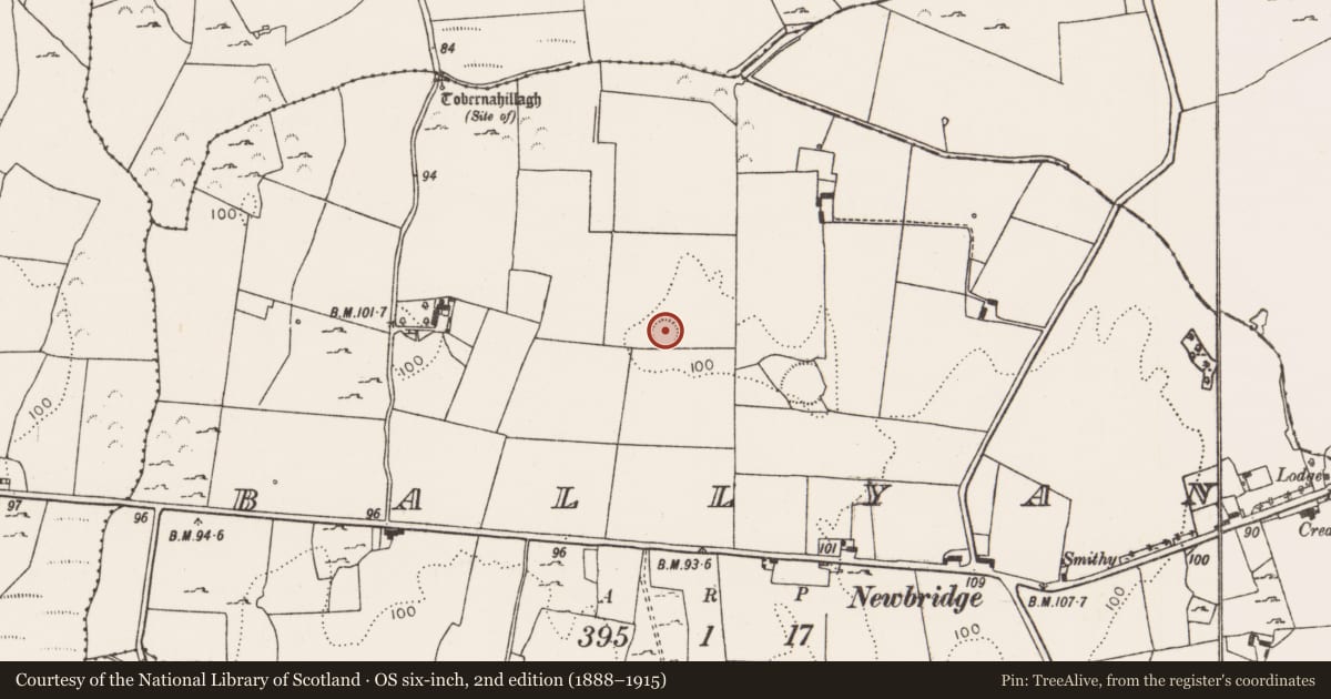 Ordnance Survey six-inch map, 2nd edition (1888–1915) covering the location of Ringfort - rath, Ballyan, County Limerick, with a pin at the register's coordinates