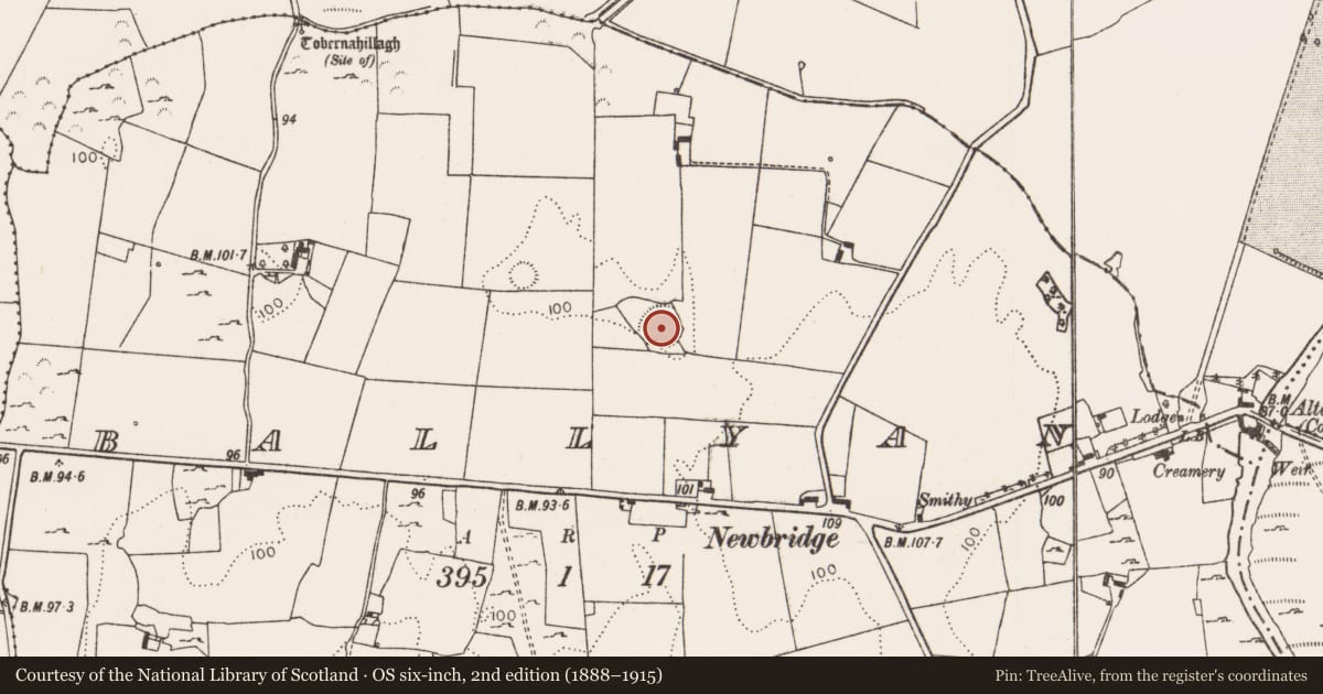 Ordnance Survey six-inch map, 2nd edition (1888–1915) covering the location of Ringfort - rath, Ballyan, County Limerick, with a pin at the register's coordinates